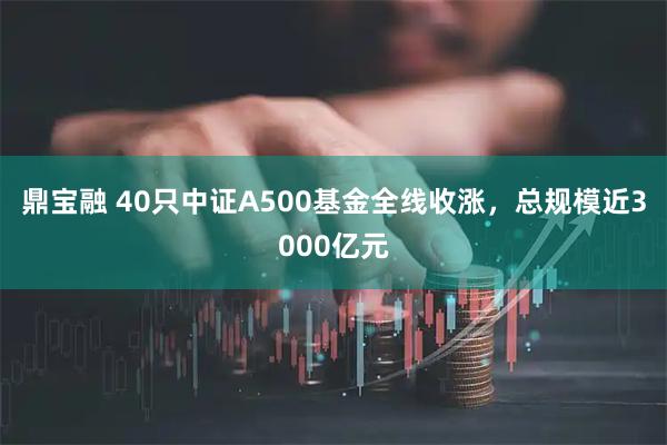 鼎宝融 40只中证A500基金全线收涨，总规模近3000亿元